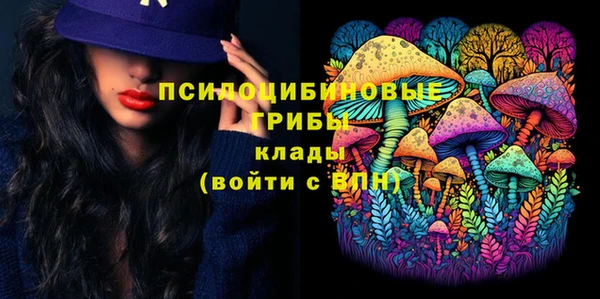 тгк Беломорск